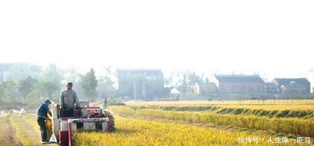 “不下手就晚了”！未来6年农村最新的赚钱手段，别说没告诉你！