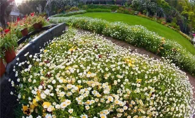 66岁大叔，8年时间打造出了中国最美私家花园，让人叹为观止！