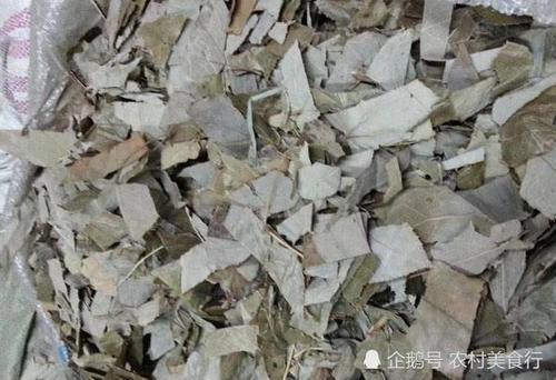 农村这野草人称“千两金”药用价值高，如今市面上一斤150元