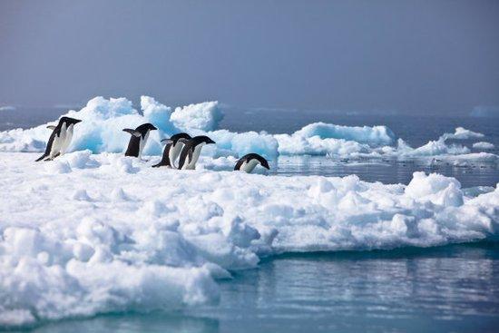 地球上最后一块无主之地，拥有大量资源，我国即将在此地建机场