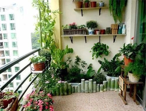  #花架#原来阳台还能这样种花，一看就像个花园，太漂亮了！