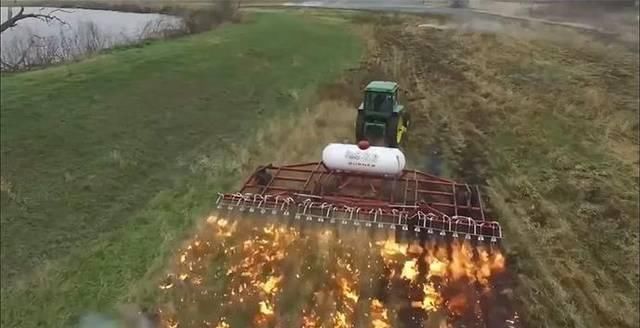  【进口】世界上80％国家从美国进口粮食，看人家的除草方式，确