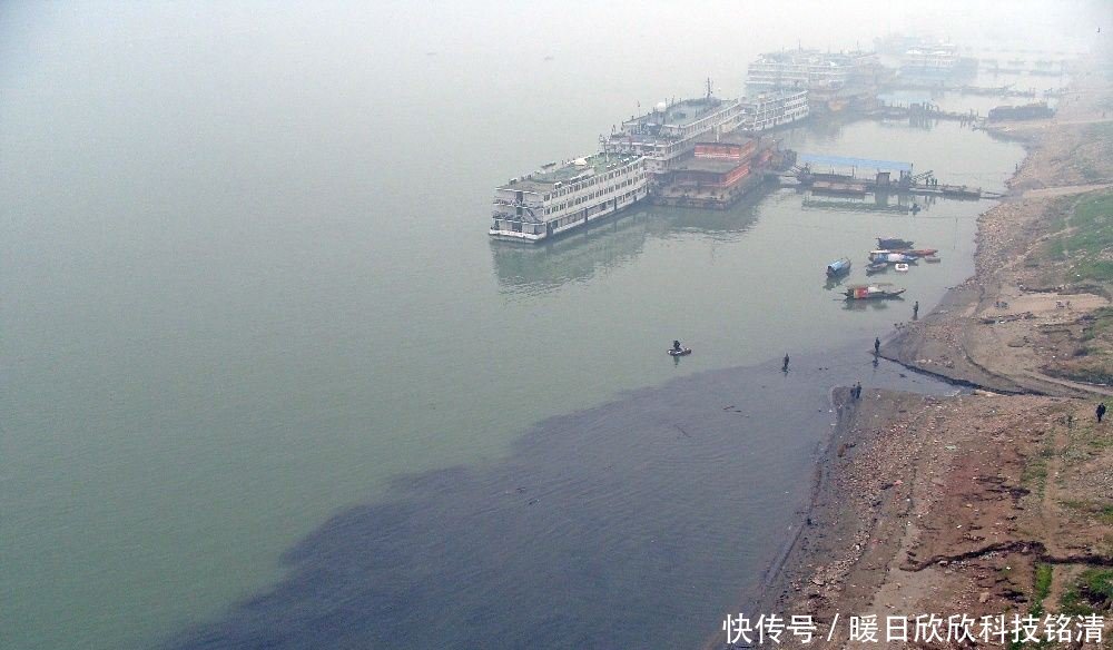在建三峡大坝时，专家建议放养上万条大鱼，看完才知道良苦用心