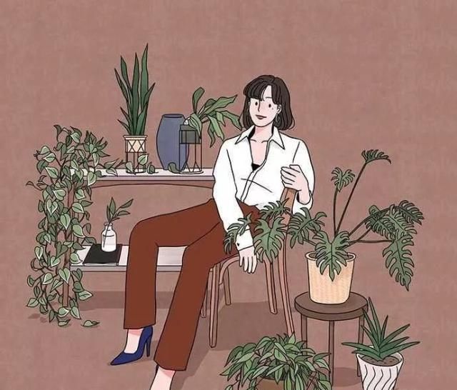  『植物』植物语言｜世纪植物龙舌兰