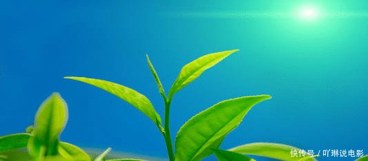  【气质】有内涵、有思想，最具有内在美，也最让人喜爱的四大星座女