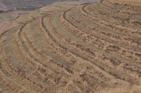 2019年农民只要有土地，就能够拿到这些补贴，金额高达3万！