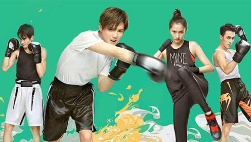 徐晓冬力挺鹿晗演搏击传播正能量，痛斥一龙打假拳更可耻