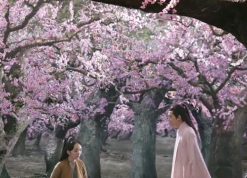 折颜:三生三世:天地第一只凤凰并不是折颜?她是狐后闺蜜,四海八荒有名的美人