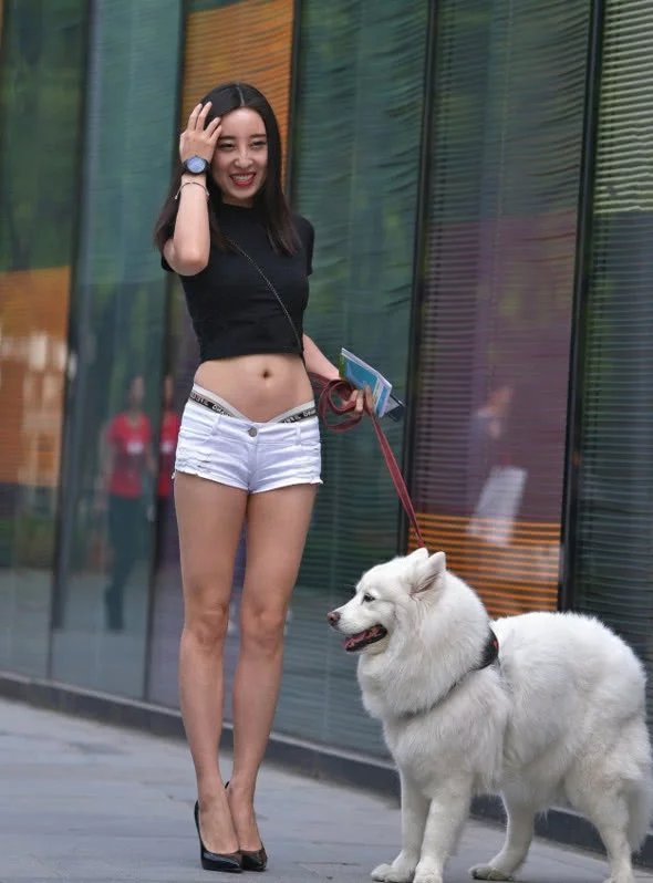 街头遛狗的小姐姐,露脐装显诱人小蛮腰,小热裤配高跟鞋彰显逆天