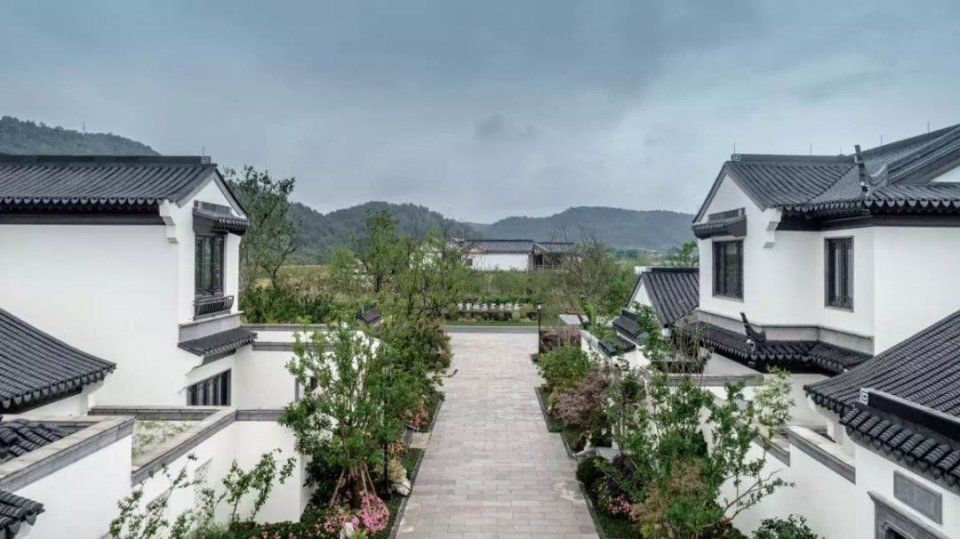  【宋卫】布局大湾区：宋卫平和他的理想小镇