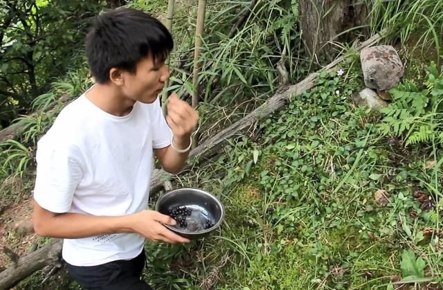 农村小哥山里摘这种黑黑的野果，农村娃基本都吃过，你认识吗？