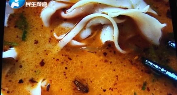 男子和朋友去聚餐，一看碗里傻了眼，老板娘：我看谁敢播！