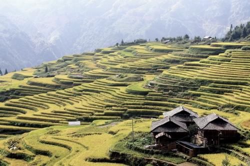 《舌尖上的中国》的拍摄地，加榜梯田迎来“新米节”