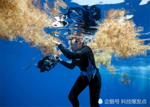 地球上最危险的海,透明度达72米,为什么无人敢踏足?