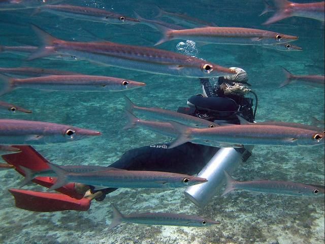 愤怒!普吉岛旅游再出事故,1名中国游客溺水身亡