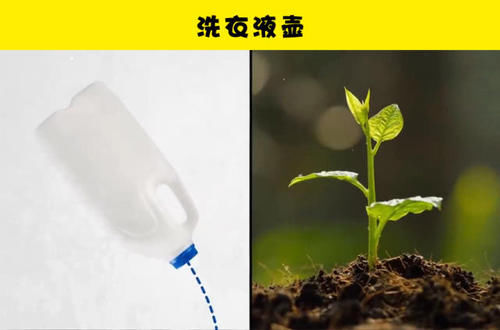  你可以用■人们在生活中丢弃的10件反而让人损失更多钱的东西