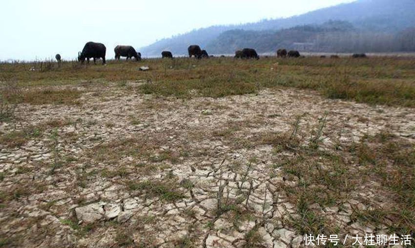  耕地：一瓶水比一斤粮贵，60后种不动90后不会种，提高粮价有用