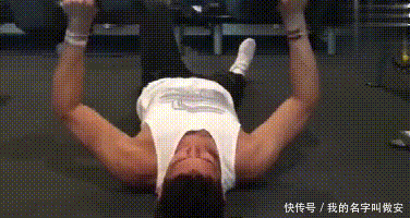 姚明卧推320磅,孙悦200磅,那林书豪多少?