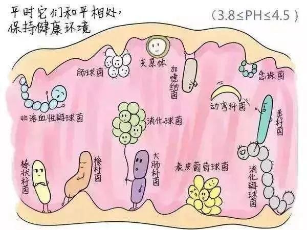 洗洗更健康?流鼻血要仰头?坊间流传5大健康常识，坑你没商量