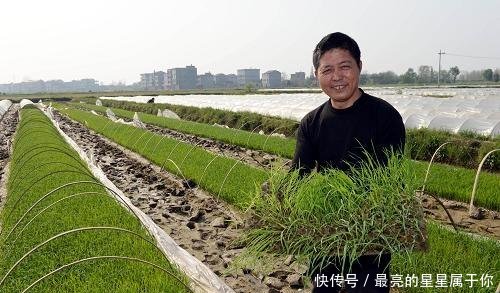 农村这4类工作虽不起眼，但还是能赚钱，赋闲在家的农民不妨试试