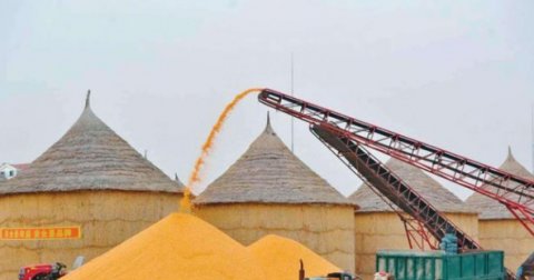  农民■8亿农民呼吁：提高粮价，专家称：不涨价能保护农民