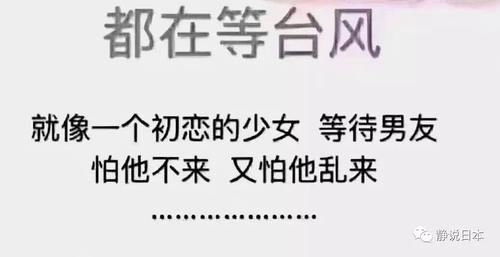  侵袭|水被抢光，交通瘫痪，今年第19号台风侵袭东京
