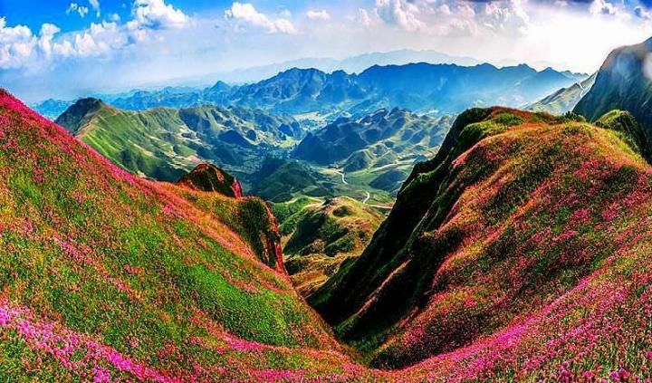 再过几天,中国这个地方又要美哭全国了,即将变身绝美的天上花海