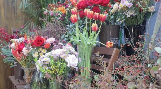 藏在北京小院里的悠闲小时光,生活原来可以这么惬意