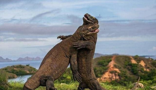 签证方便，性价比高，风光绝美的七个极少中国游客的东南亚海岛！