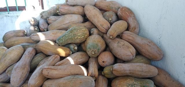  #冬天#冬天这么冷，小龙虾养殖能做些什么？