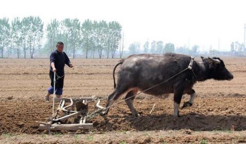 19年立春在除夕 有什么说法
