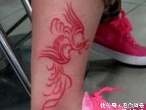 【鸽子】为什么用鸽子血纹身,平时看不出,生气才显现出来?答案其实很简单