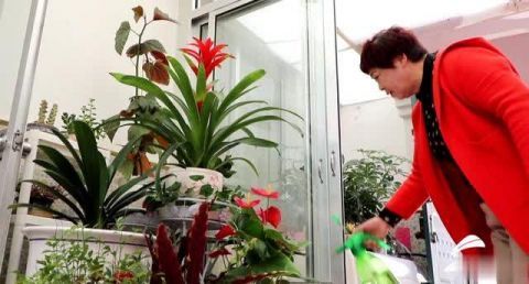 #满立君#我们的美丽庭院丨邻居都爱来做客!威海这个农家小院被收拾得精致惬意