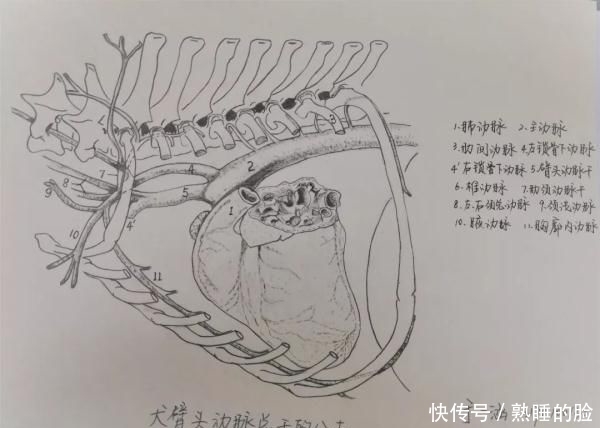 「建筑工程学」顶尖高校学霸晒出“神仙笔记”网友跪了这就是差距啊