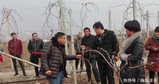 在农村未来几年下面几个职业很吃香，比打工还赚钱