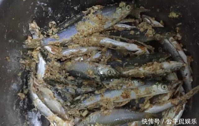 不折不扣:垂钓长江边,不折不扣的当了回“白条杀手”
