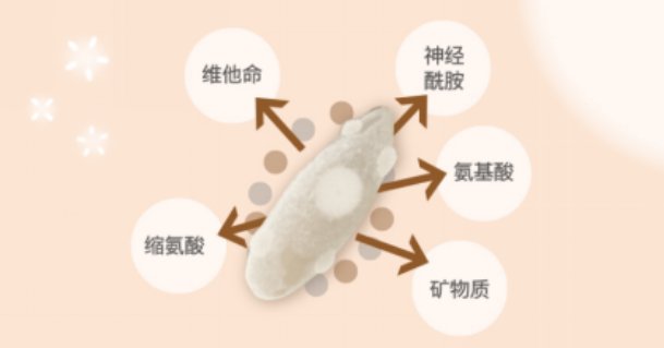 肌肤也能微醺?曼秀雷敦肌研糀润带来美肌新体验