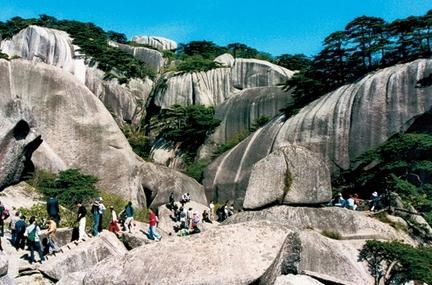 盘点风景独特的旅游景点，从你所熟知的张家界天子山、合肥翡翠湖