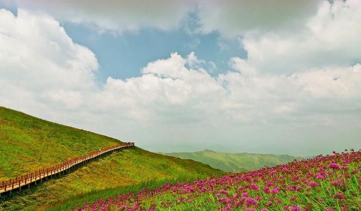 再过几天，中国这个地方又要美哭全国了，即将变身绝美的天上花海