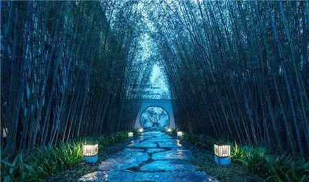  [庭院]五大庭院风格的植物搭配