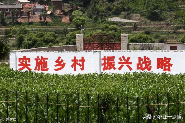 将来农村真的都需要搬迁吗?村民们如何看待呢?