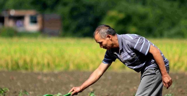  农村居民■2020后农村土地谁来种，终于有答案了，未来将由这三