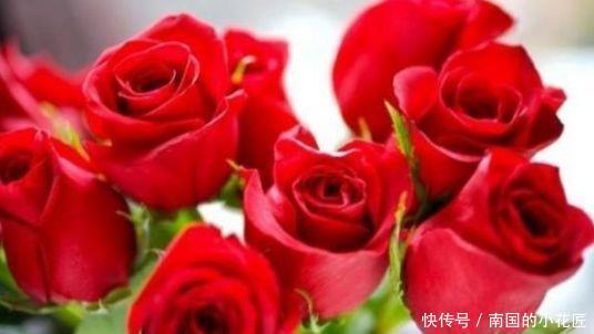 『五彩石竹』在家中养护花卉,就选择花色梦幻的5种花,妖娆优雅,非常的漂亮