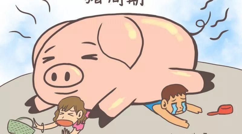 网传连云港有多人感染猪病毒死亡?警方已经介入调查!