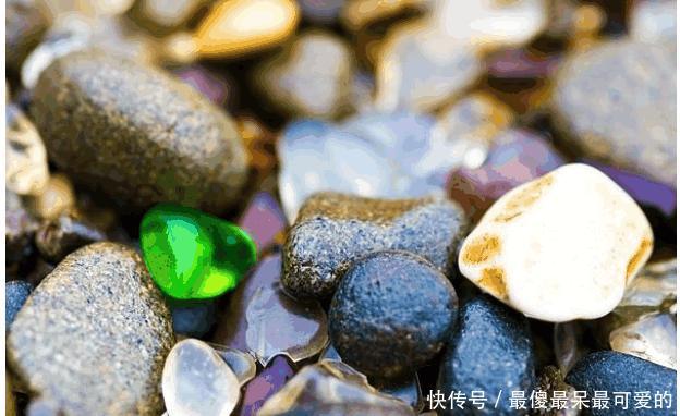 丢人丢到了国外! 中国游客在俄行为被点名批评, 网友评论呈两极化