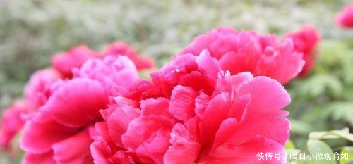  「呼声最高」如果河南要迁移省会, , 哪个城市最适合这两大城市