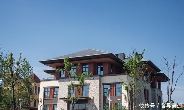  [潇洒]农村人有出息！10栋别墅，让大家看看农村房子多好看，生