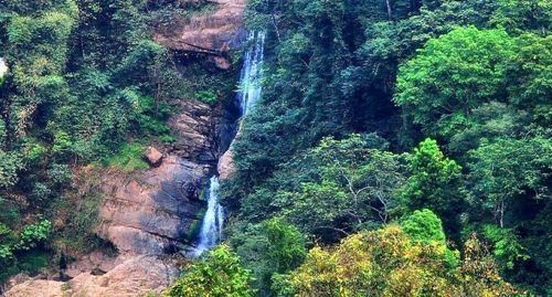 刚刚公布!云南这4个地方被国家看上，成为康养城市!有你在的地方