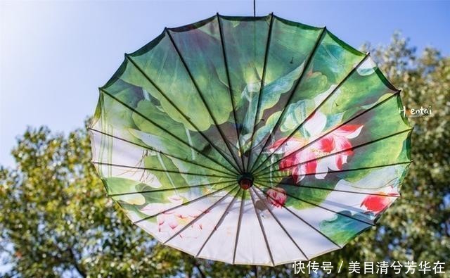 江苏有种名蟹全是“运动员”,用特殊工具捕捞,生长环境优质