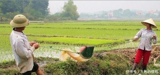  #实拍#实拍越南农村, 不比中国农村差多少